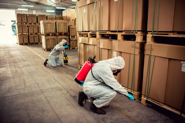 Best Local Pest Control Services  in Pea Ridge, AR