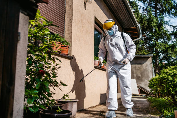 Best Exterminator Services  in Pea Ridge, AR