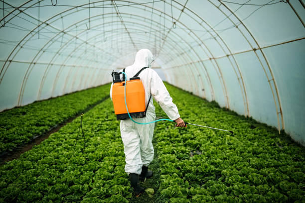  Pea Ridge, AR Pest Control Pros