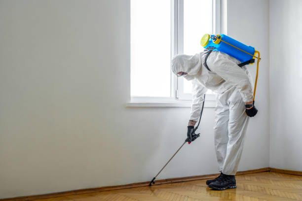 Pest Control Cost in Pea Ridge, AR