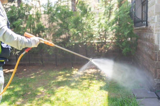 Spider Control Near Me in Pea Ridge, AR