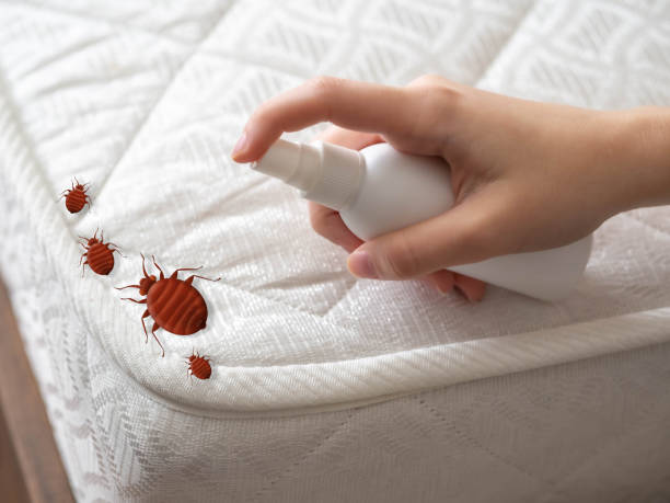 Best Best Pest Control Companies  in Pea Ridge, AR