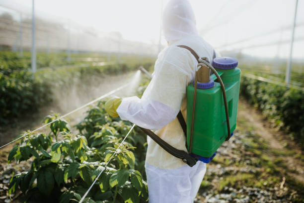Best Emergency Pest Control  in Pea Ridge, AR